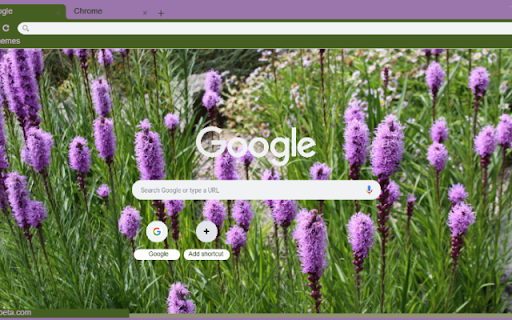 Blazing Star  from Chrome web store to be run with OffiDocs Chromium online
