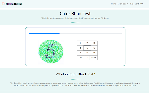 Blindness Test  from Chrome web store to be run with OffiDocs Chromium online