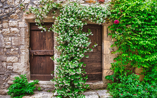 Blooming Wooden Door  from Chrome web store to be run with OffiDocs Chromium online