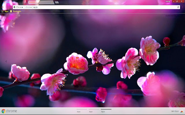 Blossom Sakura Spring من متجر Chrome الإلكتروني ليتم تشغيله باستخدام OffiDocs Chromium عبر الإنترنت