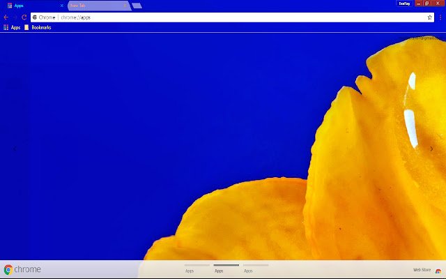 Blue Colourful Flower Petal Spring із веб-магазину Chrome для запуску з OffiDocs Chromium онлайн