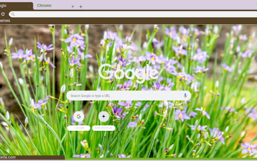 Blue Eyed Grass  from Chrome web store to be run with OffiDocs Chromium online