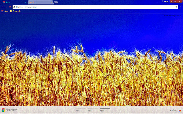 Blue Field Photography Wheat from Chrome web store to be run with OffiDocs Chromium online Blue Field Photography Wheat from Chrome web store to be run with OffiDocs Chromium online