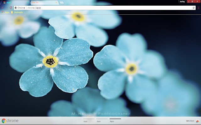 Blue Flower dal negozio web di Chrome verrà eseguito con OffiDocs Chromium online
