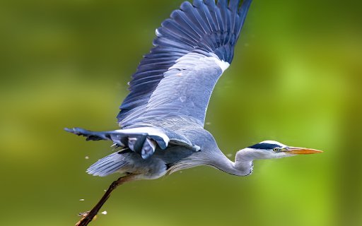 Blue Heron  from Chrome web store to be run with OffiDocs Chromium online