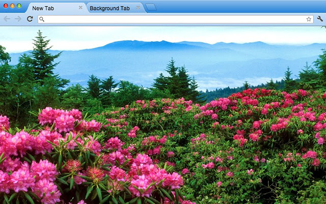 Blue Ridge Mountains, N.C. dal negozio web di Chrome per essere eseguito con OffiDocs Chromium online