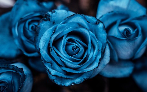 Blue roses  from Chrome web store to be run with OffiDocs Chromium online