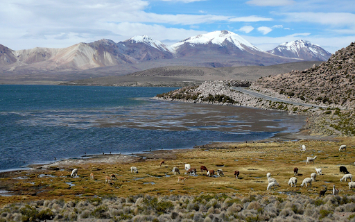 Blue sea and grass hills  from Chrome web store to be run with OffiDocs Chromium online