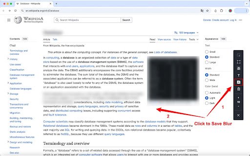 BlurAny Privacy Protector  from Chrome web store to be run with OffiDocs Chromium online