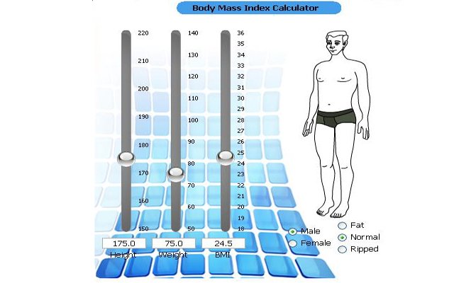 BMI Calci  from Chrome web store to be run with OffiDocs Chromium online