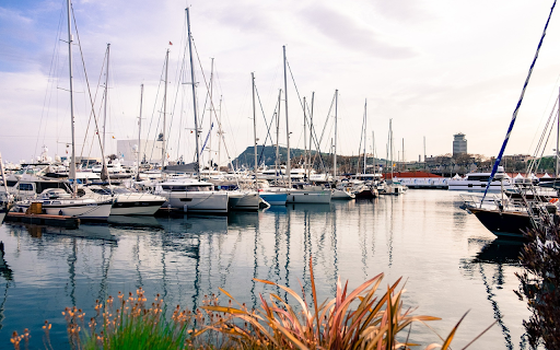 Boating  from Chrome web store to be run with OffiDocs Chromium online
