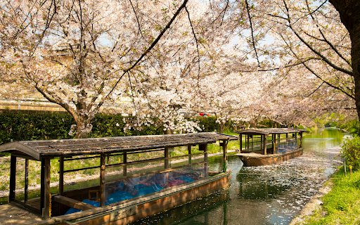 boats sailing on water channel near blooming trees  from Chrome web store to be run with OffiDocs Chromium online