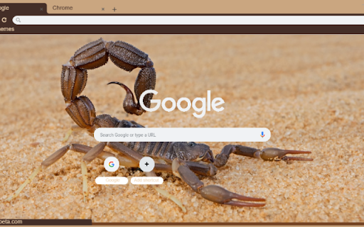 Bo Cap  from Chrome web store to be run with OffiDocs Chromium online
