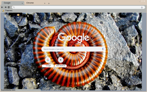 Bo Cuon  from Chrome web store to be run with OffiDocs Chromium online
