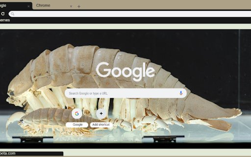 Bo Giap  from Chrome web store to be run with OffiDocs Chromium online