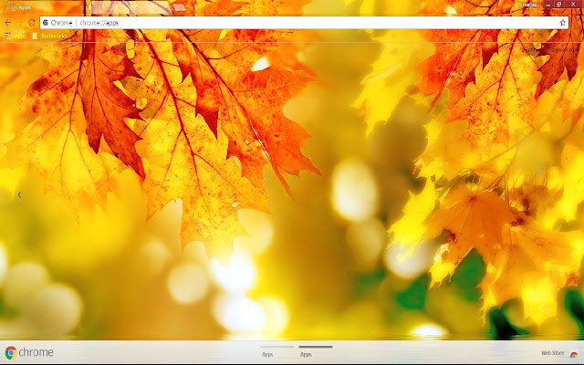 Bokeh Colorful Fall Leaf  from Chrome web store to be run with OffiDocs Chromium online