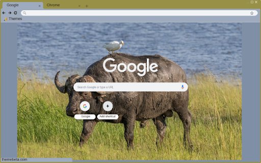 Bo ma  from Chrome web store to be run with OffiDocs Chromium online