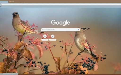 Bombycilla cedrorum  from Chrome web store to be run with OffiDocs Chromium online