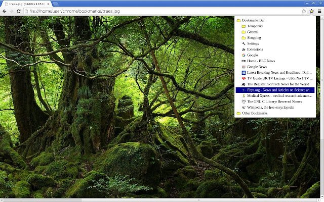 Bookmark Icon  from Chrome web store to be run with OffiDocs Chromium online
