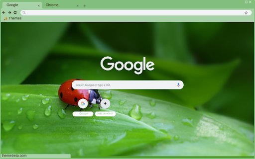 Bo Rua from Chrome web store to be run with OffiDocs Chromium online Bo Rua from Chrome web store to be run with OffiDocs Chromium online