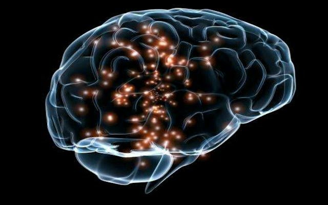 Blogger Otak | Neuroscientia daripada kedai web Chrome untuk dijalankan dengan OffiDocs Chromium dalam talian
