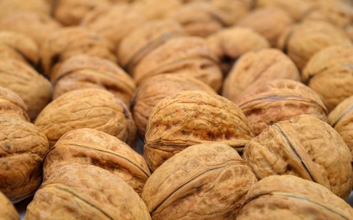 Brain nourishing food  from Chrome web store to be run with OffiDocs Chromium online