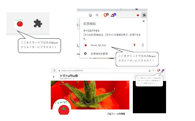 Chrome 网上商店中的br​​ave_tip_trip 将与 OffiDocs Chromium 在线运行