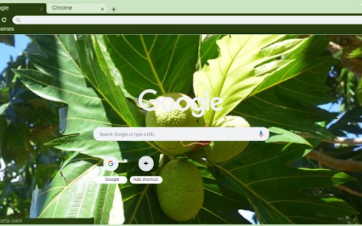 Breadfruit Tree  from Chrome web store to be run with OffiDocs Chromium online