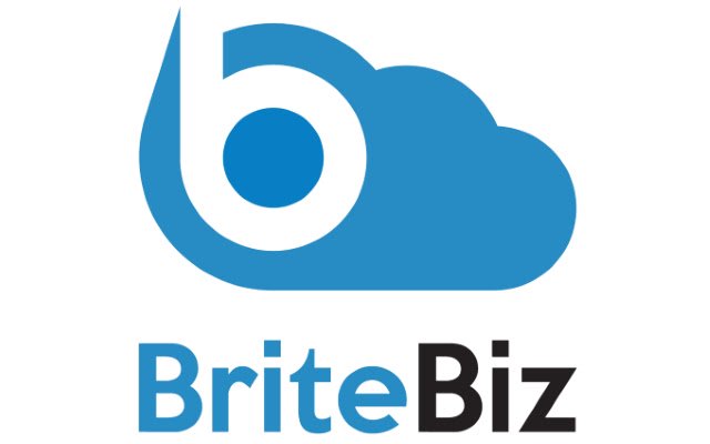BriteBiz.com  from Chrome web store to be run with OffiDocs Chromium online