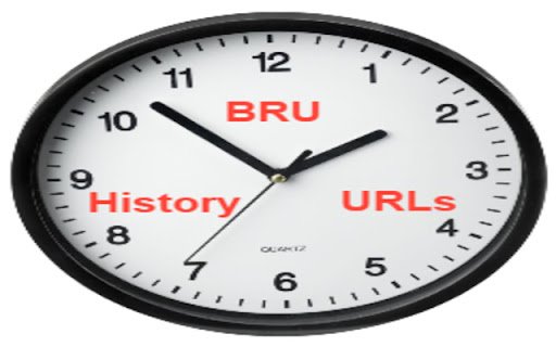 BRU History URL  from Chrome web store to be run with OffiDocs Chromium online