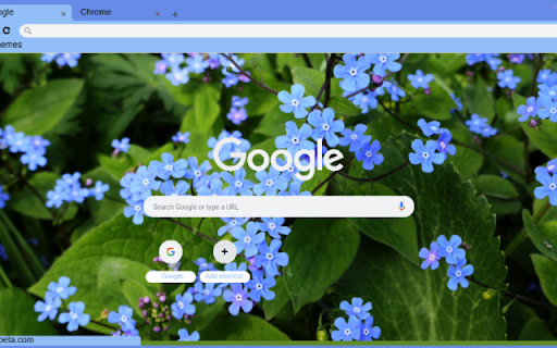 Brunnera from Chrome web store to be run with OffiDocs Chromium online Brunnera from Chrome web store to be run with OffiDocs Chromium online