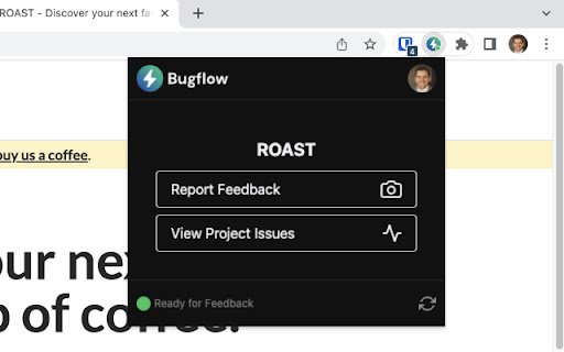 Bugflow  from Chrome web store to be run with OffiDocs Chromium online