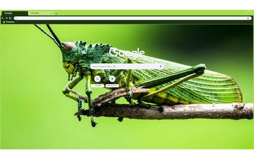 Bugwise Theme  from Chrome web store to be run with OffiDocs Chromium online