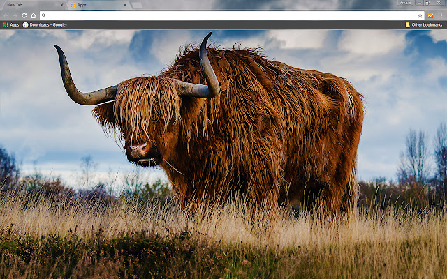 Bull  from Chrome web store to be run with OffiDocs Chromium online