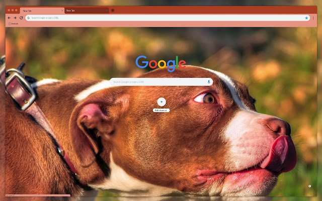 Le langage Bull Terrier de la boutique en ligne Chrome sera exécuté avec OffiDocs Chromium en ligne