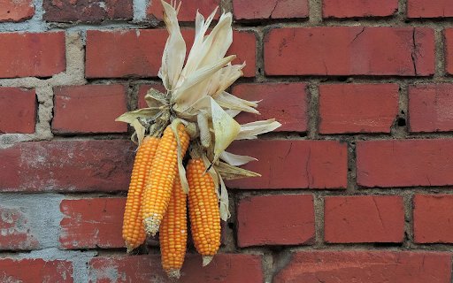 Bunch of yellow corn  from Chrome web store to be run with OffiDocs Chromium online