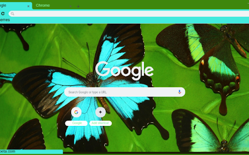 Buom Canh Ngoc  from Chrome web store to be run with OffiDocs Chromium online