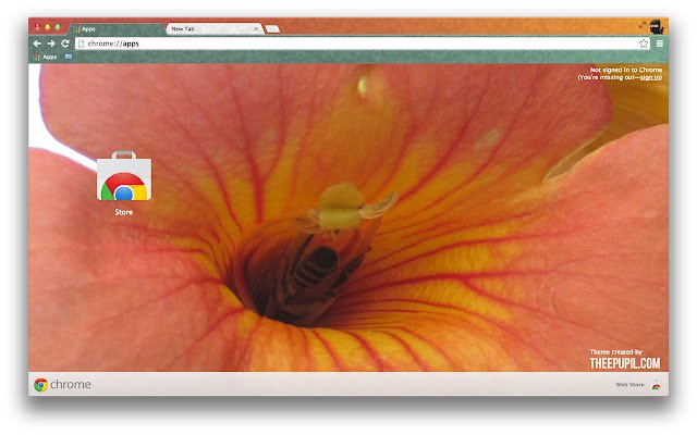 Busy Bee Flower aus dem Chrome-Webshop soll mit OffiDocs Chromium online betrieben werden