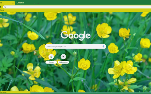 Buttercup  from Chrome web store to be run with OffiDocs Chromium online