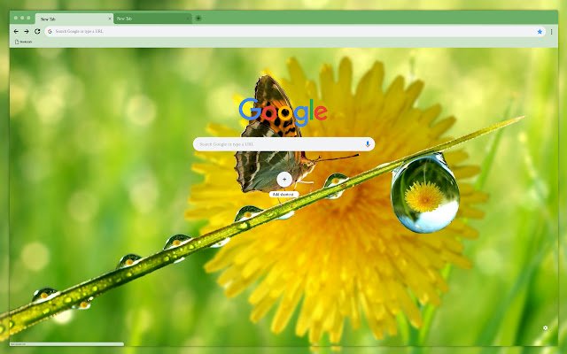 Бабочка из интернет-магазина Chrome будет работать с OffiDocs Chromium онлайн