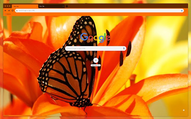 Butterfly wing  from Chrome web store to be run with OffiDocs Chromium online