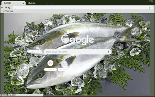 Ca cam  from Chrome web store to be run with OffiDocs Chromium online