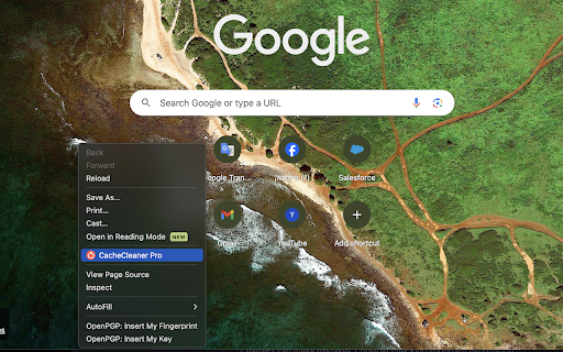 CacheCleaner Pro  from Chrome web store to be run with OffiDocs Chromium online