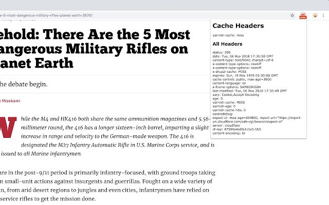 Cache Hit  from Chrome web store to be run with OffiDocs Chromium online