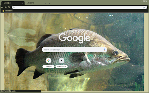 Ca Chem  from Chrome web store to be run with OffiDocs Chromium online