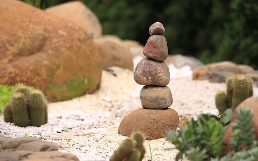 Cactus and rocks  from Chrome web store to be run with OffiDocs Chromium online