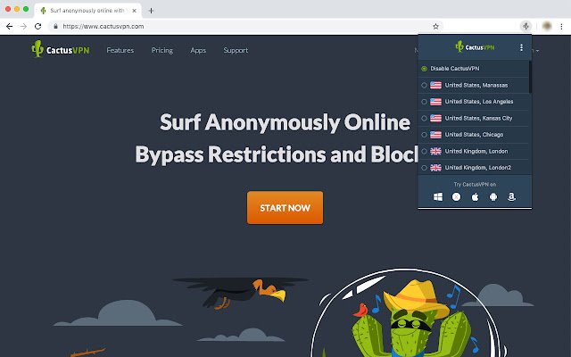 CactusVPN VPN and Smart DNS services  from Chrome web store to be run with OffiDocs Chromium online