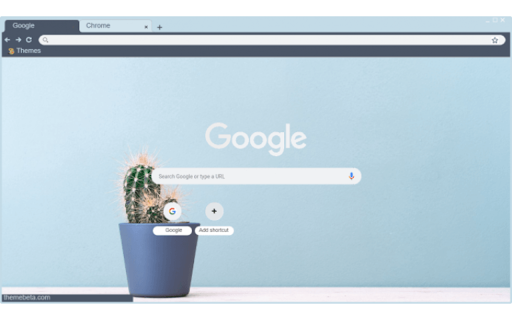 cactus with blue background  from Chrome web store to be run with OffiDocs Chromium online