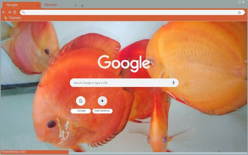 Ca do day  from Chrome web store to be run with OffiDocs Chromium online