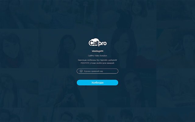 CallPro Screen Sharing  from Chrome web store to be run with OffiDocs Chromium online